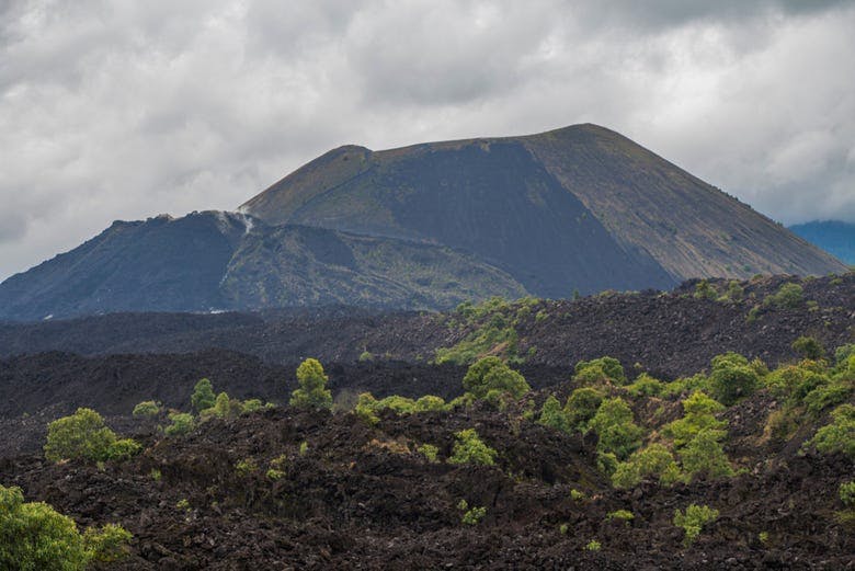Imagen del tour: Excursión privada al volcán Paricutín y Angahuan 