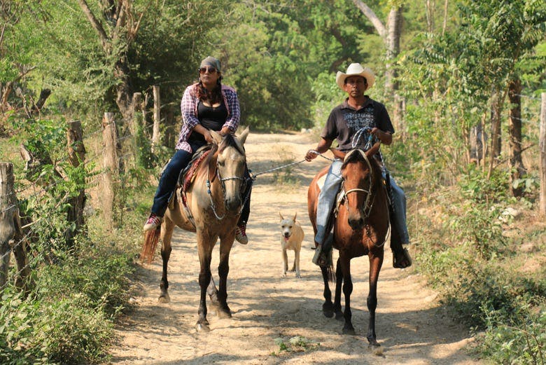 Imagen del tour: Paseo a caballo por San José Manialtepec
