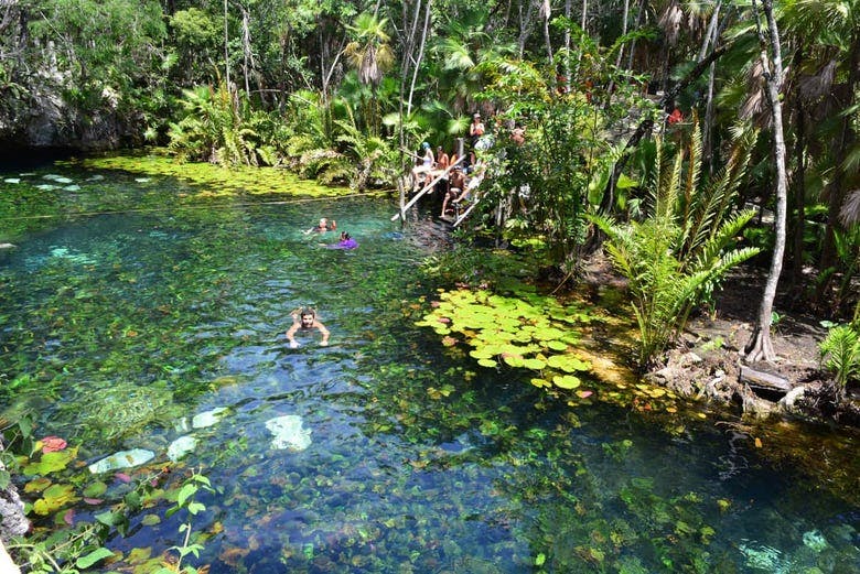 Imagen del tour: Excursión a Tulum + Snorkel en cenote maya