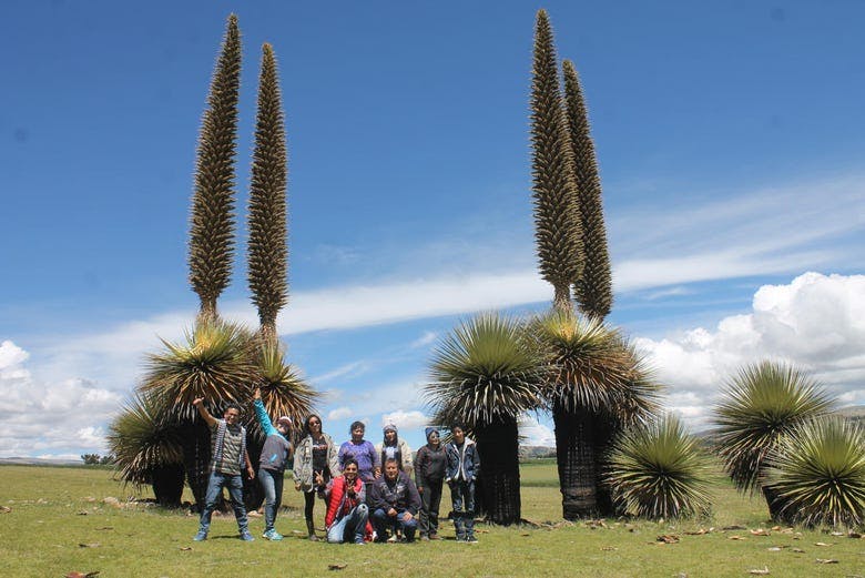 Imagen del tour: Excursión a Vilcashuamán y Pumacocha
