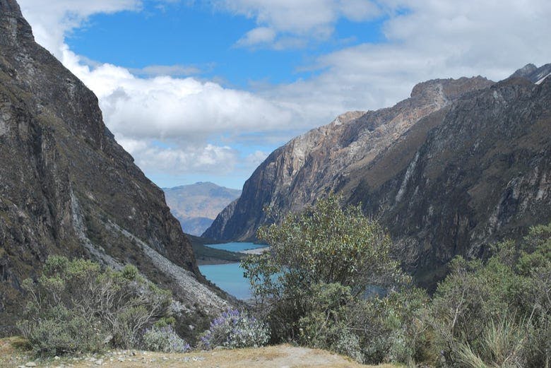 Imagen del tour: Ruta privada de senderismo hasta el mirador de Portachuelo