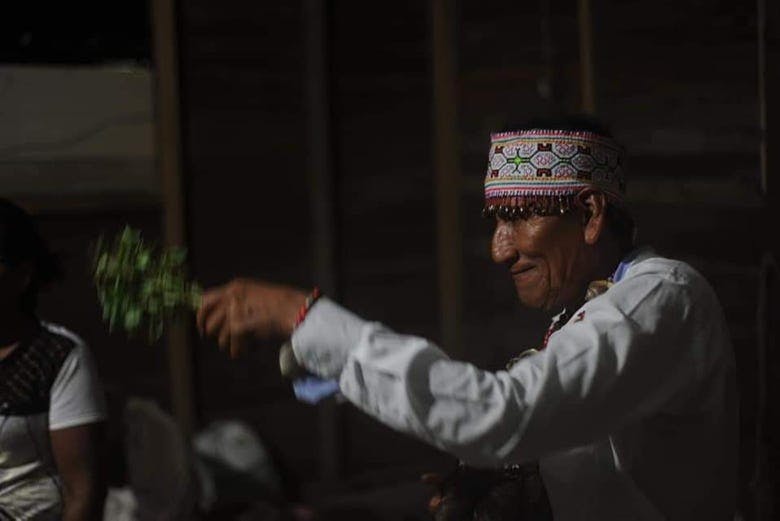 Imagen del tour: Ceremonia de ayahuasca en Puerto Inca