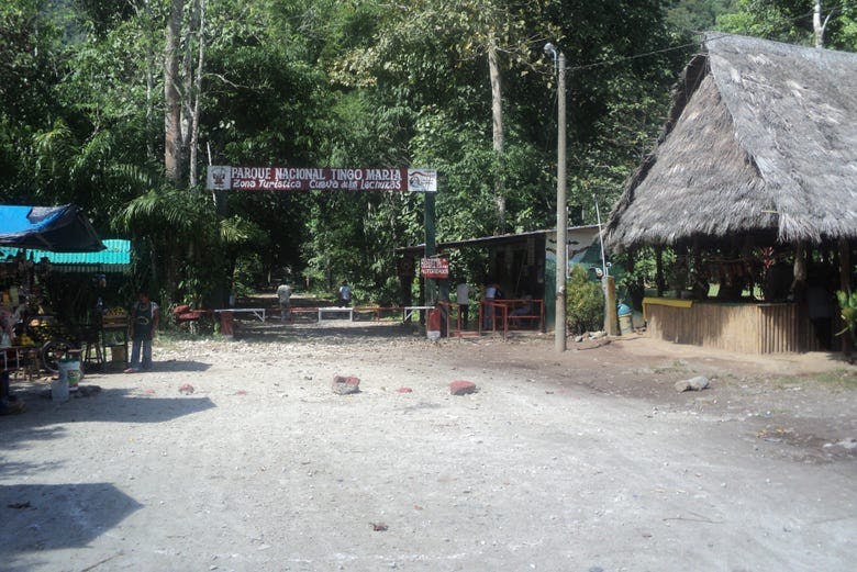 Imagen del tour: Excursión al Parque Nacional Tingo María