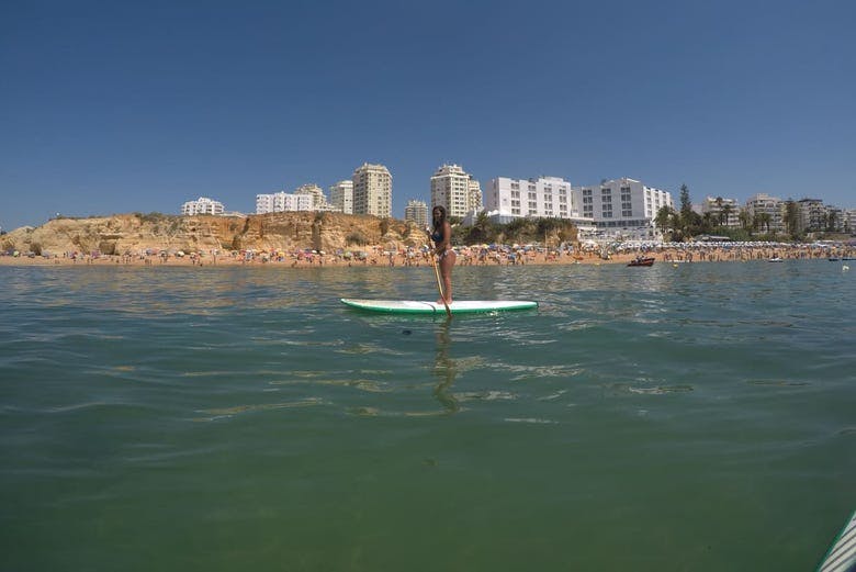 Imagen del tour: Alquiler de paddle surf en Armação de Pêra