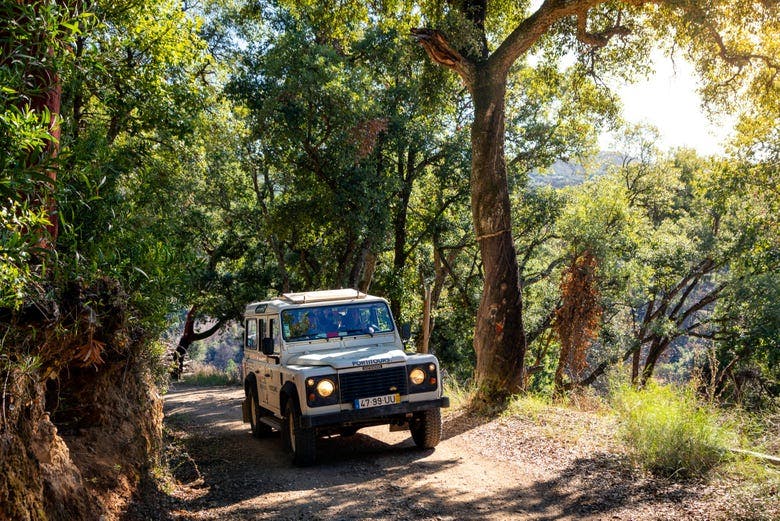Imagen del tour: Jeep safari por el oeste del Algarve