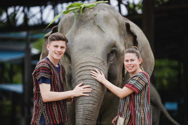 Imagen del tour: Excursión al santuario de elefantes