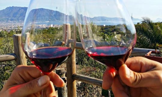 Imagen del tour: Cata de vinos en el monte. Vesubio