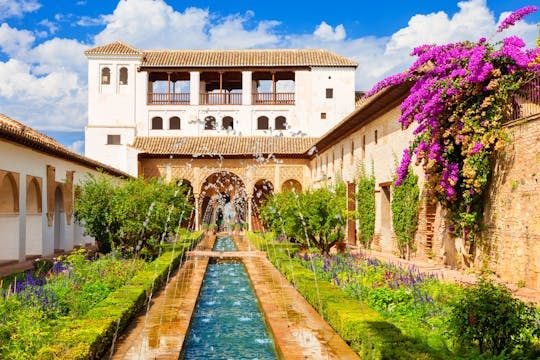 Imagen del tour: Entrada sin colas a la Alhambra y a los Palacios Nazaríes con visita guiada oficial