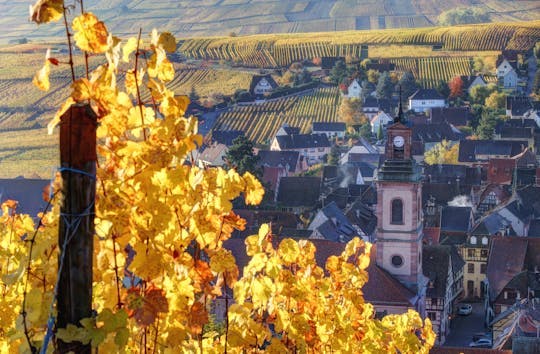 Imagen del tour: Tour de vino compartido de medio día de Alsacia desde Colmar