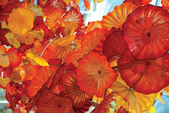 Imagen del tour: Entradas Chihuly Garden and Glass