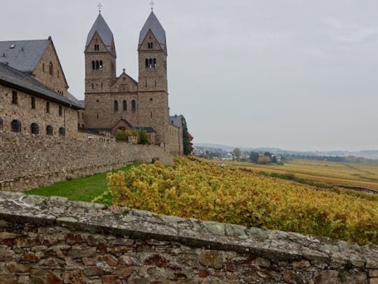 Imagen del tour: Castillos y abadías: una visita a Rheingau Grand Crus