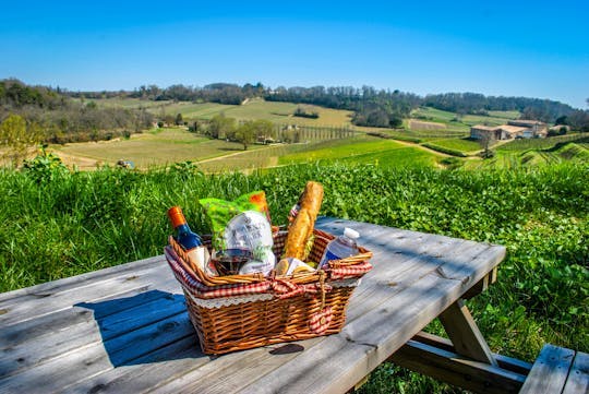 Imagen del tour: Visita y almuerzo con vista panorámica en los viñedos de Saint-Emilion