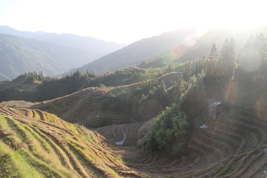 Imagen del tour: Terraza de arroz de día completo en Longsheng y recorrido por el pueblo local