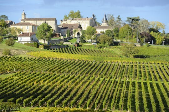 Imagen del tour: Tour del vino por la mañana a Saint-Emilion