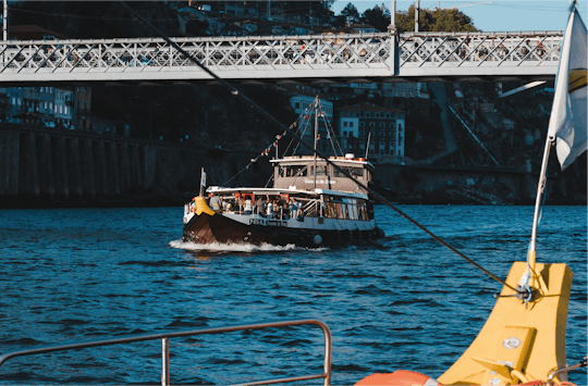 Imagen del tour: Paseo en barco por los 6 puentes del río Duero