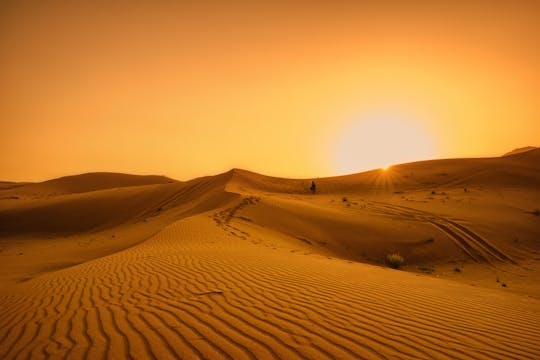 Imagen del tour: Dune dinner safari at Bassata Camp from Ajman