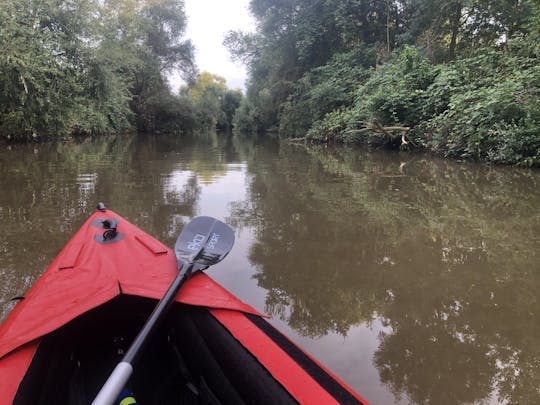 Imagen del tour: Tour guiado en kayak por el Neckar cerca de Ladenburg
