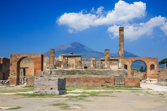 Imagen del tour: Tour de Pompeya y el Vesubio desde Nápoles con almuerzo de pizza