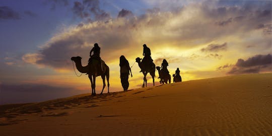 Imagen del tour: Safari con cena en las dunas desde Sharjah