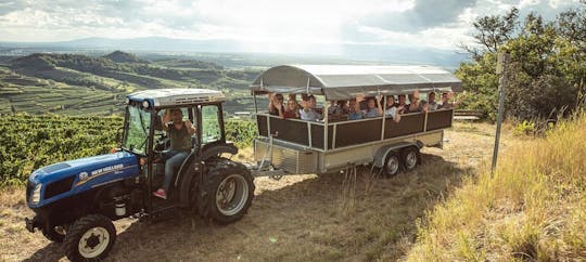 Imagen del tour: Tour privado en tractor por los viñedos de Kaiserstuhl