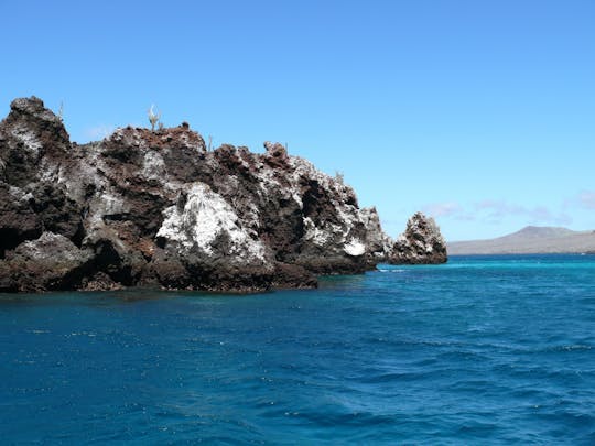 Imagen del tour: Tour de día completo a la isla Pinzón con esnórquel, pesca y excursión a la Fe