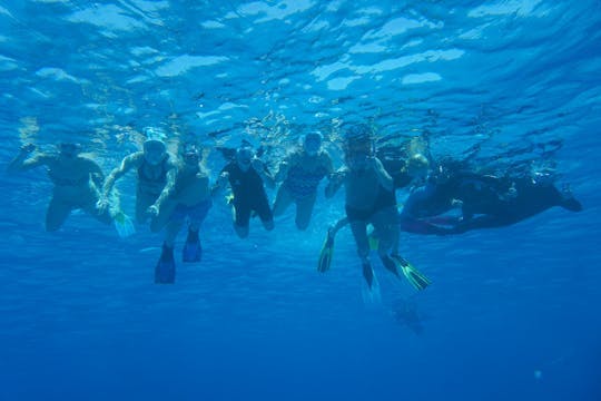 Imagen del tour: Snorkel en el arrecife Satayah desde Marsa Alam