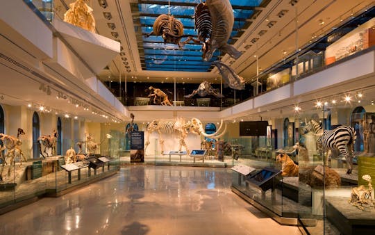 Imagen del tour: Entradas para el Museo de Historia Natural de Los Ángeles