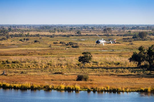 Imagen del tour: Vuelo panorámico en helicóptero por el delta del Okavango desde Maun