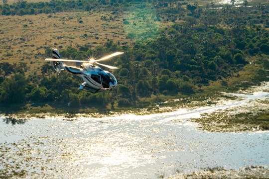 Imagen del tour: Tour privado en helicóptero por el delta del Okavango con picnic en la isla gourmet
