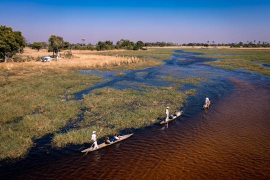 Imagen del tour: Tour privado en helicóptero por el delta del Okavango y canoa mokoro