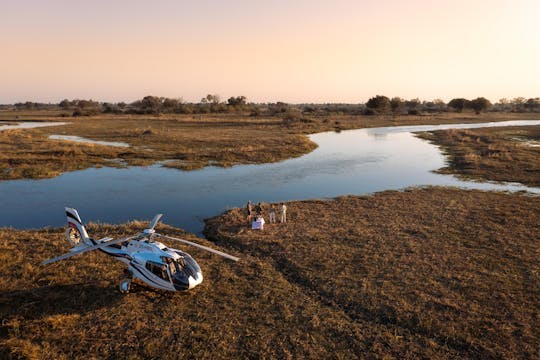 Imagen del tour: Tour privado en helicóptero por el delta del Okavango con parada en gin & tonic bush