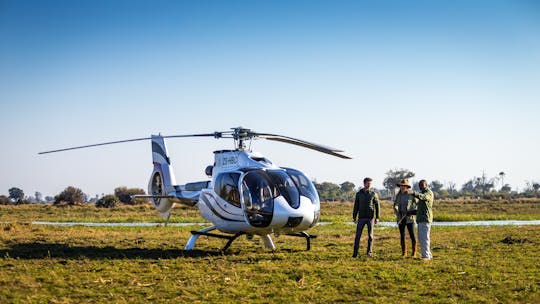 Imagen del tour: Tour privado en helicóptero por el delta del Okavango y caminata por el monte
