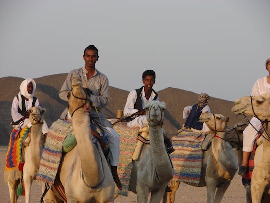 Imagen del tour: Experiencia en quad con paseo en camello por el desierto de Marsa Alam