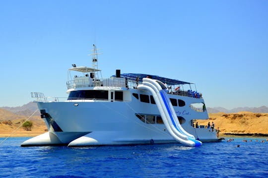 Imagen del tour: Viaje por mar y submarino en Liberty Catamaran desde Sharm el-Sheikh