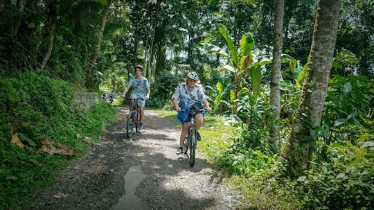 Imagen del tour: El mejor recorrido en bicicleta por la mañana en Bali