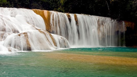 Imagen del tour: Excursión de día completo a las cascadas de Agua Azul y Misol-Ha desde Palenque