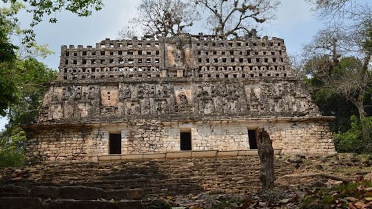 Imagen del tour: Visita guiada de día completo a la Selva Lacandona, Yaxchilán y Bonampak desde Palenque