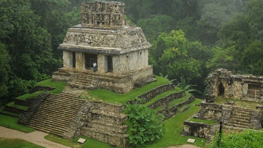 Imagen del tour: Excursión de día completo a las ruinas mayas de Palenque, Misol-Ha y las cataratas de Agua Azul desde Palenque