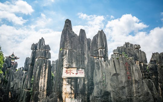 Imagen del tour: Lo más destacado de Kunming de la excursión privada de un día al Bosque de Piedra