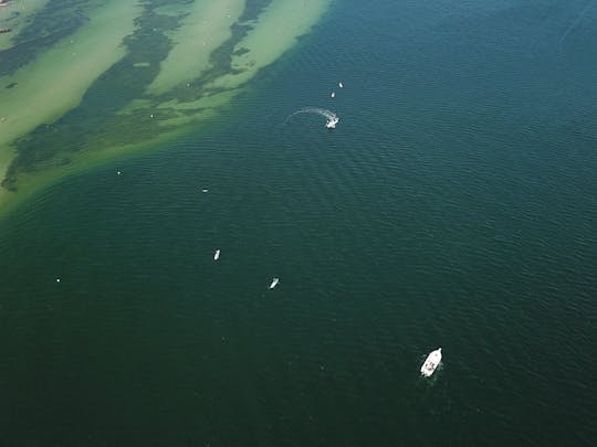 Imagen del tour: Sesión de wakeboard de 1 hora en el mar Báltico en Kiel