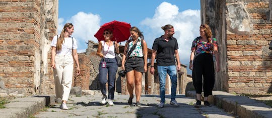 Imagen del tour: Visita en un grupo reducido a la zona arqueológica de Pompeya con un guía local