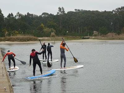 Imagen del tour: Clases de stand up paddle en el río Duero, Oporto