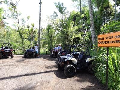Imagen del tour: Excursión en buggy por la selva en Ubud