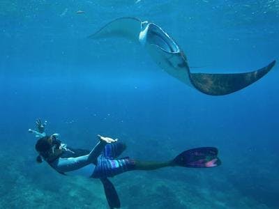 Imagen del tour: Excursión de snorkel en Nusa Penida desde Nusa Lembongan