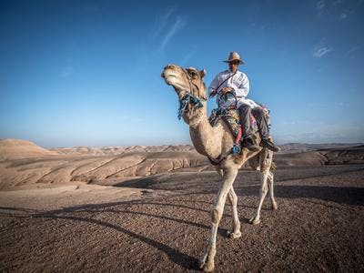 Imagen del tour: Excursión combinada en quad y camello a Jbilets, Marruecos