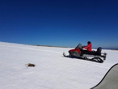 Imagen del tour: Excursión en moto de nieve en Borovets, cerca de Sofía