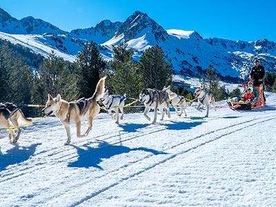 Imagen del tour: Excursión de Mushing -Trineo de Perros desde Grau Roig, Andorra
