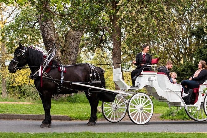 Imagen del tour: Recorrido en carruaje tirado por caballos de Beacon Hill Park de Victoria