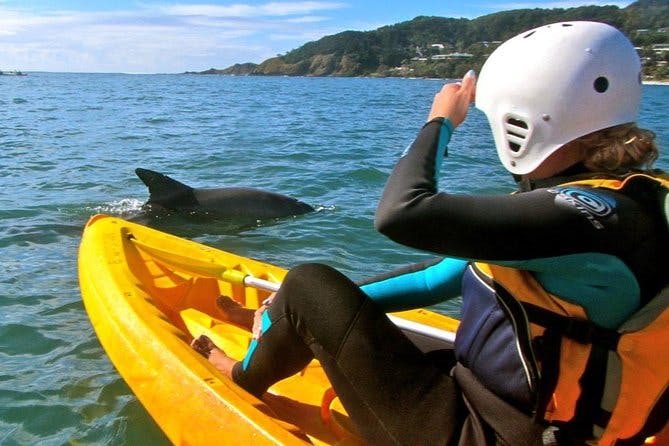 Imagen del tour: Byron Bay Combo: Hinterland Tour que incluye Minyon Falls y Kayaking con delfines