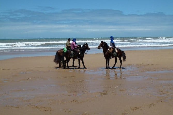 Imagen del tour: 3 horas de equitación en Essaouira